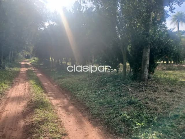 Impresionante terreno de 3.917 mts2 en ypane — foto 3