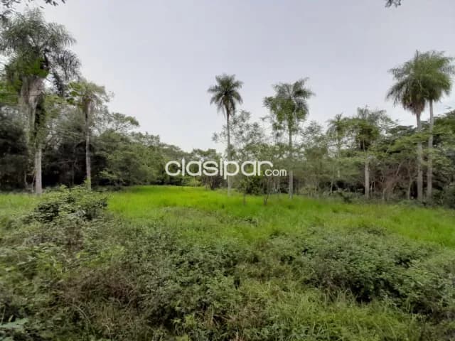 1 ha. Con 7.000 m2 en caacupé sobre ruta!!, foto 4