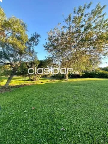 Terreno en ayres de sanber — foto 2