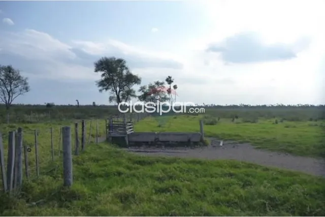 En Venta - Estancia/Campo -General José María Bruguéz, Presidente Hayes, Paraguay, foto 2
