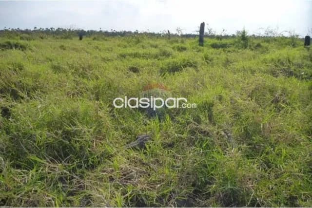 En Venta - Estancia/Campo -General José María Bruguéz, Presidente Hayes, Paraguay, foto 5