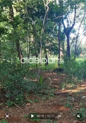 Imponente terreno en Fernando de la Mora, zona sur, foto 3