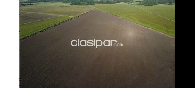 Propiedad Agricola en San Pedro del Paraná, foto 1