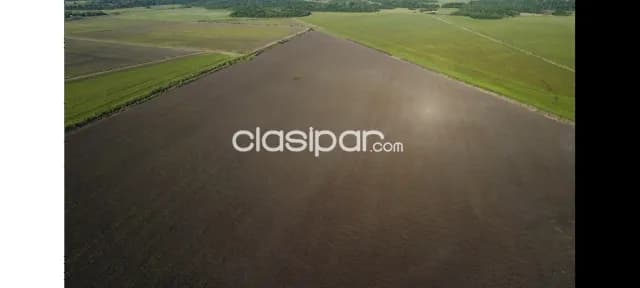 Propieadad agricola en San Pedro del Paraná — foto 2