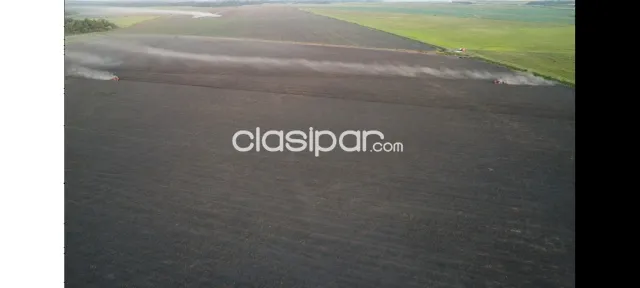Propieadad agricola en San Pedro del Paraná — foto 4