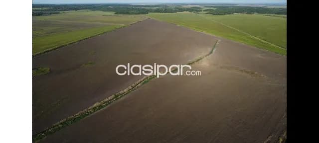 Propieadad agricola en San Pedro del Paraná — foto 5