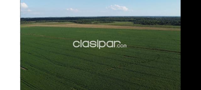 Propiedad agricola en General Artigas, foto 1