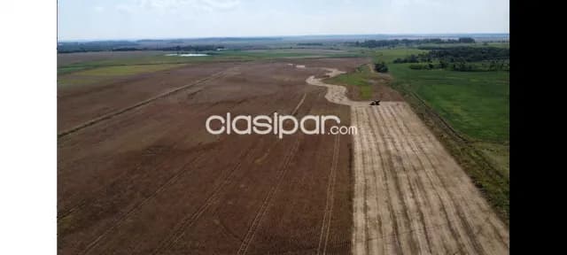 Propiedad agricola en General Artigas, foto 3