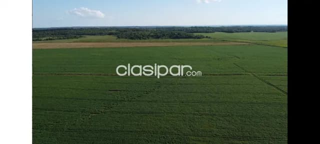 Propiedad agricola en General Artigas, foto 4