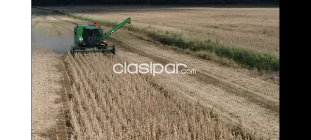 Propiedad agricola en General Artigas, foto 5