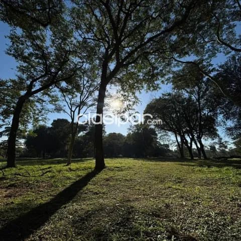 – terreno sobre ruta transchaco, foto 3