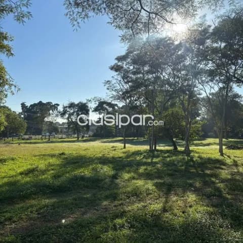 – terreno sobre ruta transchaco, foto 5