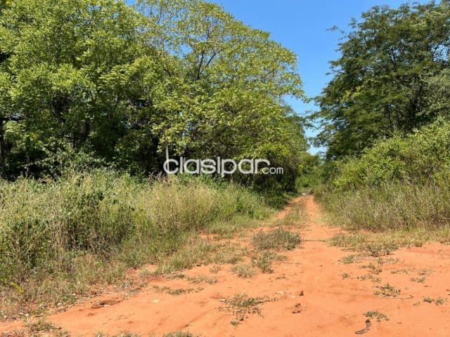 Terreno en Luque zárate isla, foto 1