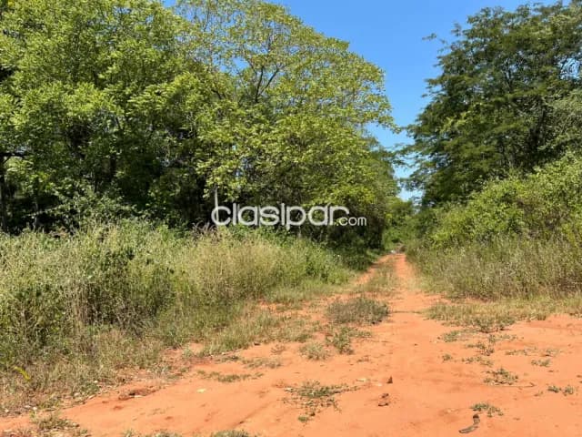 Terreno en Luque zárate isla, foto 2