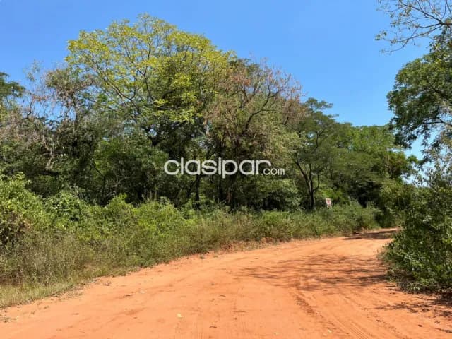 Terreno en Luque zárate isla, foto 4