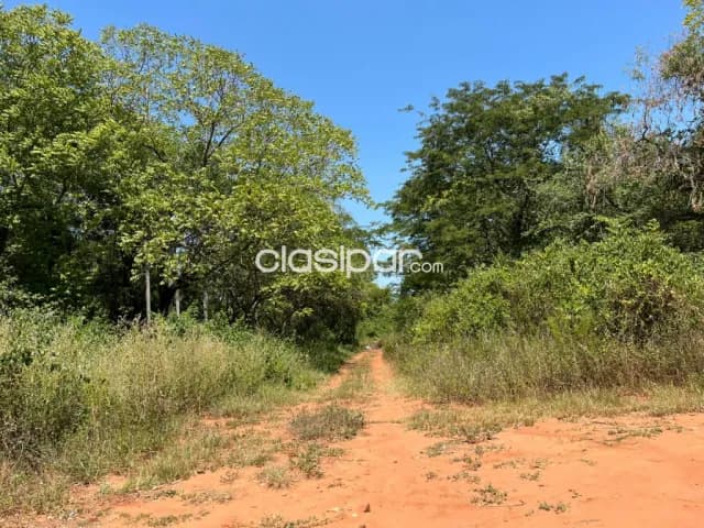 Terreno en Luque zárate isla, foto 5