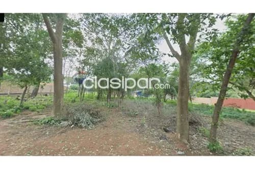 Terreno en Venta en Central Villa Elisa — foto 4