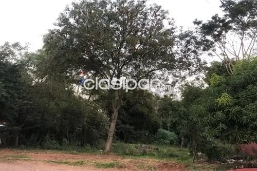 Terreno en Venta en Central San Lorenzo, foto 4
