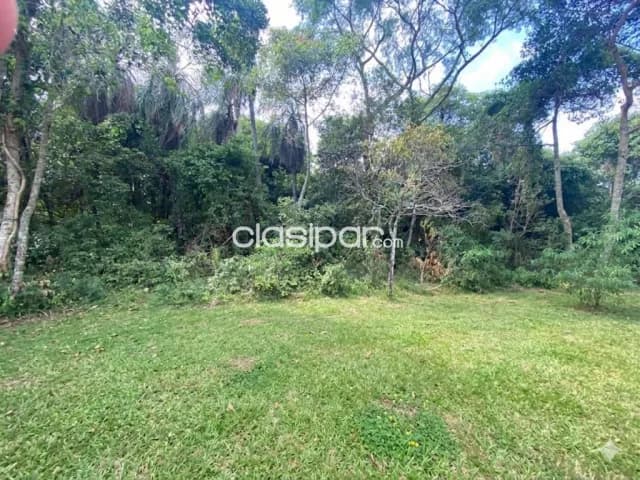 Oportunidad de Inversión en Piribebuy Fracción Jardines de Chololó, foto 4