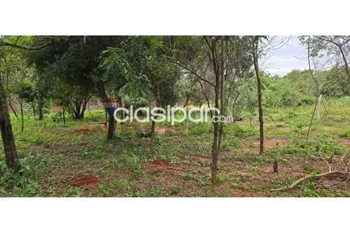 Terreno en Venta en Central Luque, foto 5