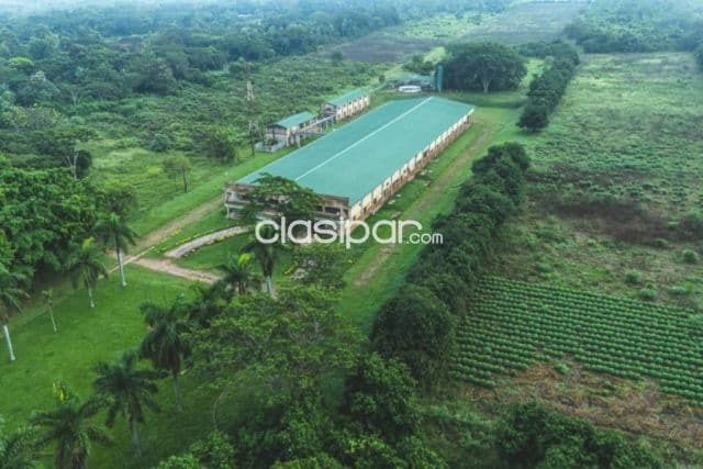En Venta Propiedad Industrial Farmacéutica Multipropósito, foto 1