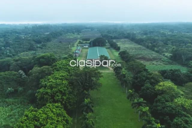 En Venta Propiedad Industrial Farmacéutica Multipropósito, foto 4
