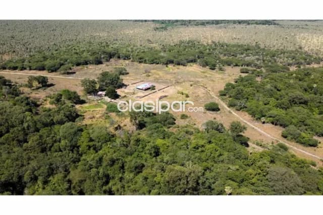 Estancia ganadera en venta, foto 2