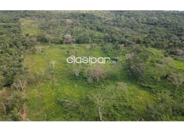 Estancia Ramonita de 368 hectareas en Ybycuí, foto 2