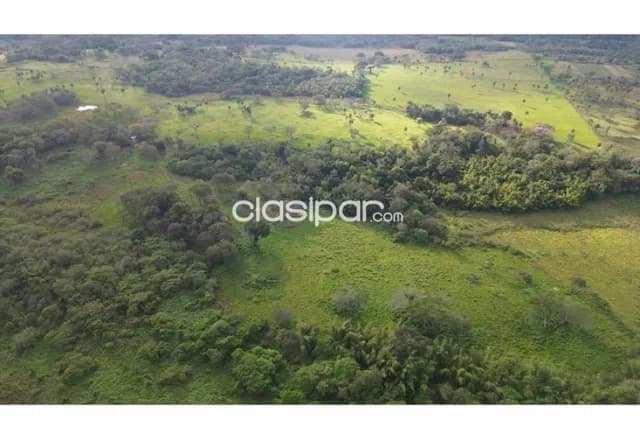 Estancia Ramonita de 368 hectareas en Ybycuí, foto 3