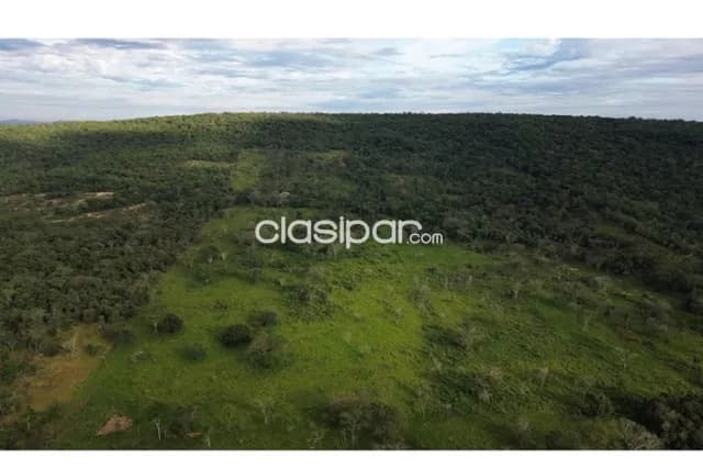 Estancia Ramonita de 368 hectareas en Ybycuí, foto 5