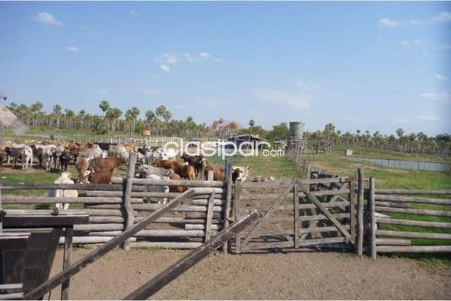 En Venta - Estancia/Campo -General José María Bruguéz, Presidente Hayes, Paraguay