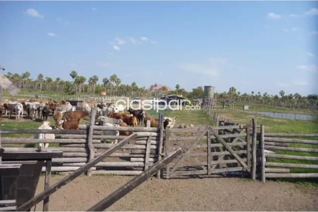 En Venta - Estancia/Campo -General José María Bruguéz, Presidente Hayes, Paraguay, foto 2