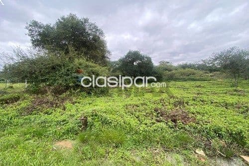 Terreno en Venta en Central Luque
