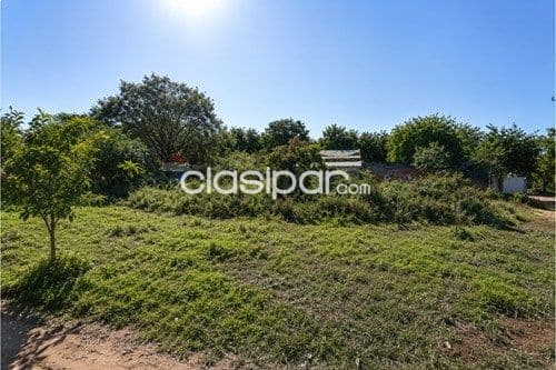 Terreno en Venta en Central Luque