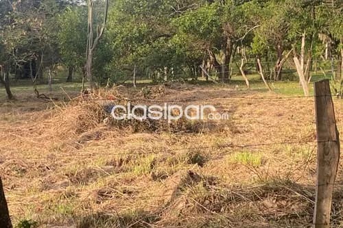 Terreno en Venta en Central San Lorenzo, foto 4
