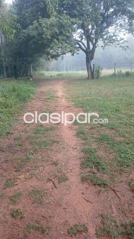 1 hectarea en Luque mora cue, foto 1
