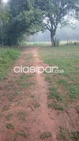 1 hectarea en Luque mora cue, foto 2