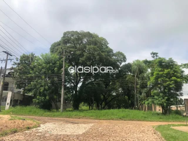 ✅ Terreno de 729 m2, frente al Exa Cristo Rey. A cuadras de la Avenida Perón ✅, foto 2