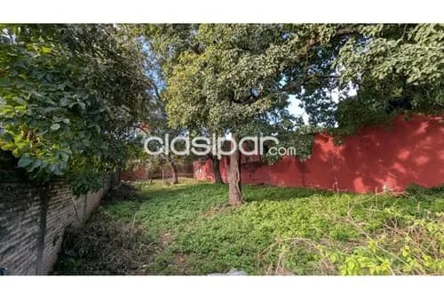 Terreno en Venta en Central Luque Cuarto Barrio Agustin Barrios c. Hipólito Unanue — foto 3