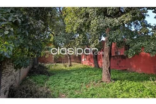 Terreno en Venta en Central Luque Cuarto Barrio Agustin Barrios c. Hipólito Unanue — foto 5