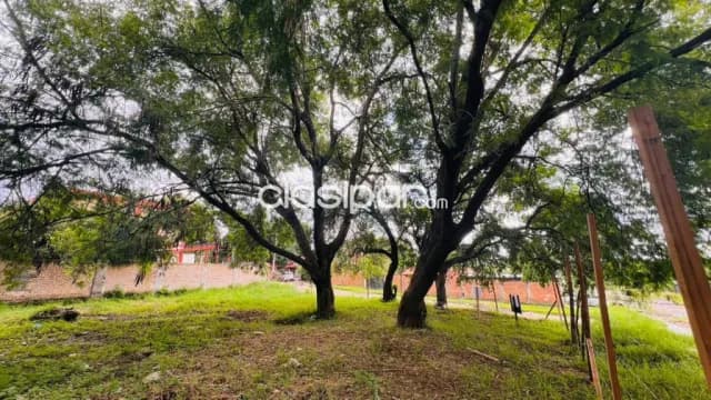 Terreno 600m2 en esquina en loma pyta, foto 3