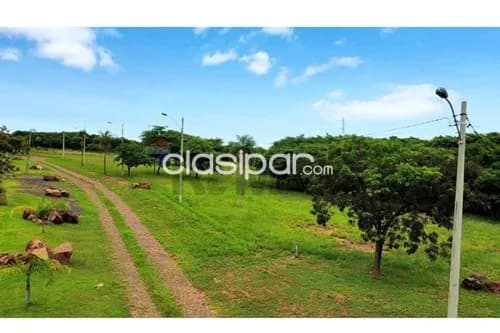 Terreno en Venta en Central Ypacaraí, foto 5