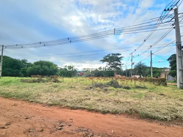 Terreno en esquina de 4.239 m2 para inversion, zona Pinedo, foto 5