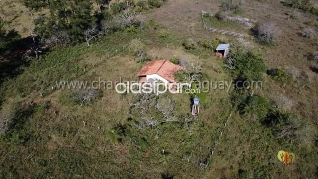 Terreno 40 ha en venta – la colmena, paraguay, foto 3