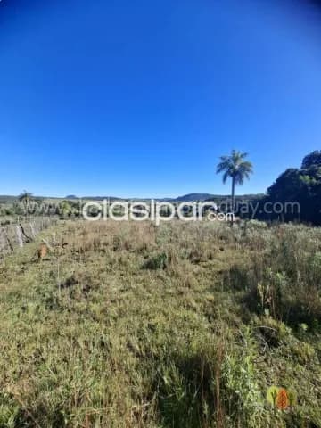 Terreno 40 ha en venta – la colmena, paraguay, foto 5