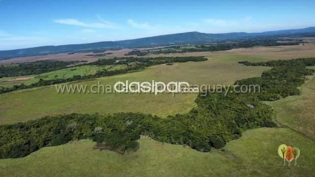 Terreno en venta — 25 hectáreas con arroyo - tebicuary, foto 4