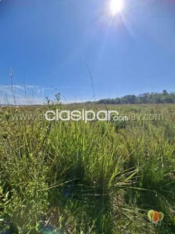 Terreno en venta — 25 hectáreas con arroyo - tebicuary, foto 5