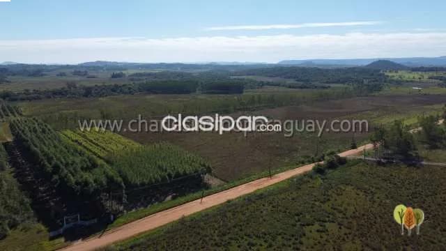 Estancia de 27 hectáreas en venta – Ideal para ganadería, agricultura o proyecto turístico, foto 2
