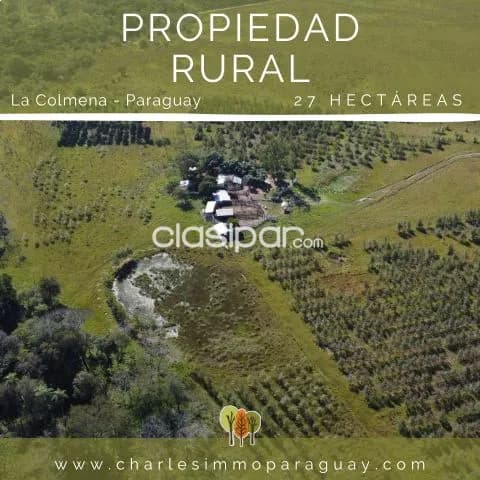 Estancia de 27 hectáreas en venta – Ideal para ganadería, agricultura o proyecto turístico, foto 4