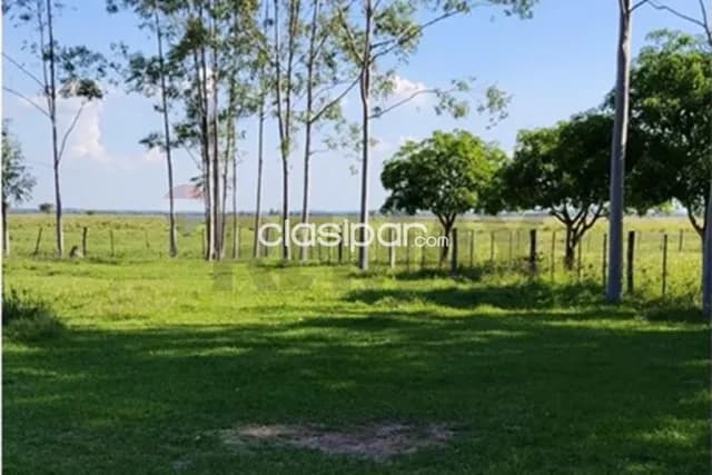 Estancia de 288 has en arroyos y esteros en venta, foto 4